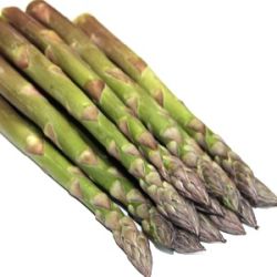 Asparagus officinalis 'Aspalim'